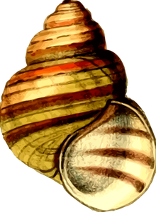 Fargerike shell