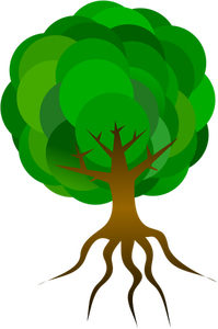 Copac vector illustration