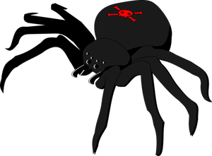 Skallen og armbrøst edderkopp