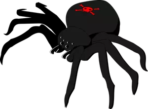 Totenkopf Spinne