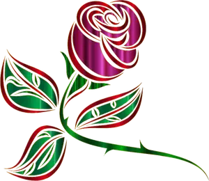 Skinnende dekorative rose