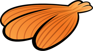 Yaz turuncu deniz kabuğu görüntüsü