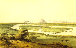 African scene with Niger