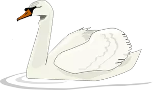 Swan swimming vector