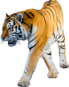 91 harimau clipart gratis Domain publik vektor