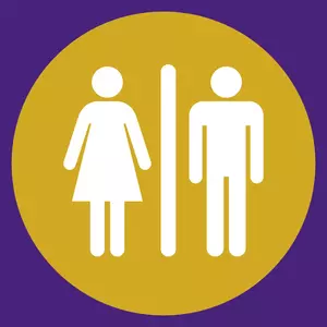 शौचालय pictogram