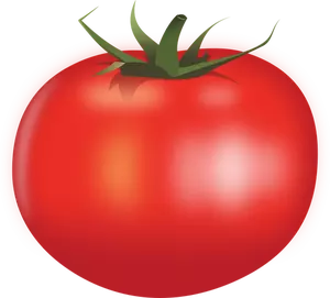 Juicy tomat