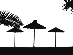 Tropisch strand silhouet
