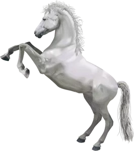 Vita hästen