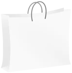 White bag vector image