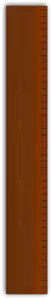 Wooden ruler vector image
