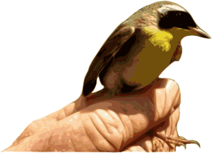 Oiseau de gorge jaune sur un graphique de vecteur de main
