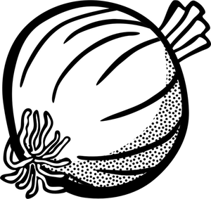 Bild der Zwiebel in schwarz und weiß