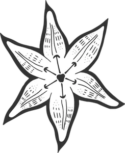 Decorative lily vector image