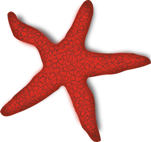 Gráficos vectoriales de estrella de mar rojo