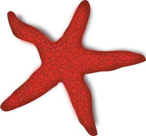 Grafica vectoriala de stea de mare roşu