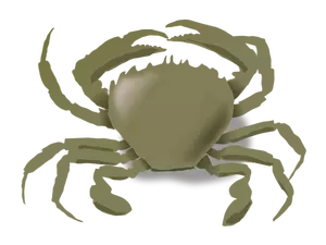 Vector tekening van krab
