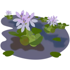 Violette Pflanze