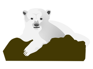 Polar bear vector image
