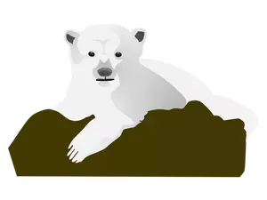 Polar bear vector image