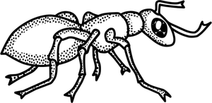 Vector drawing of black and white spotty ant