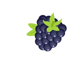 BlackBerry frukt