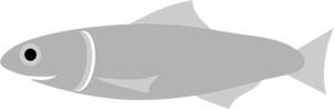 Sardellin kala