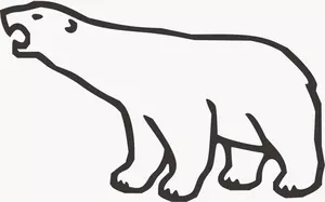 Urso polar vector art