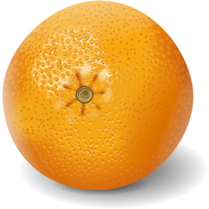 Orange fruit clip art