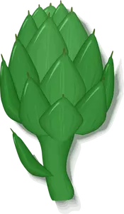 Artichoke plant