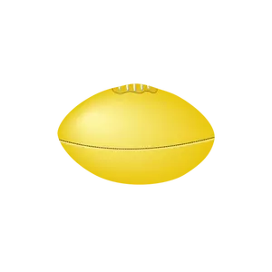 Aussie rules football ball vector image
