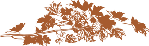 Vektor illustration av bruna höstlöv