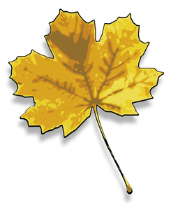 Immagine vettoriale foglia di acero giallo fotorealistica