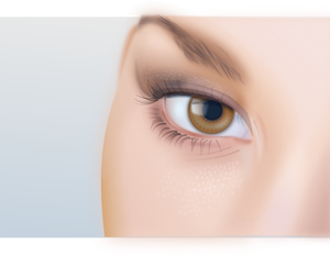 Disegno dell'occhio della donna con estremo dettaglio vettoriale