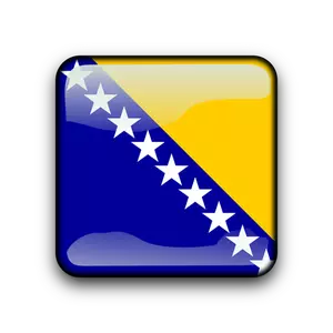 Botón de bandera de Bosnia y Herzegovina