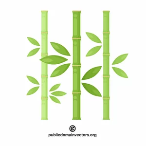 Bambu kasvi