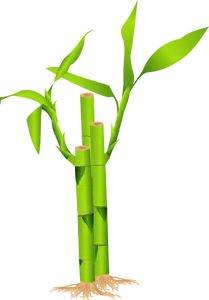Närbild av bambu stjälk vektor illustration