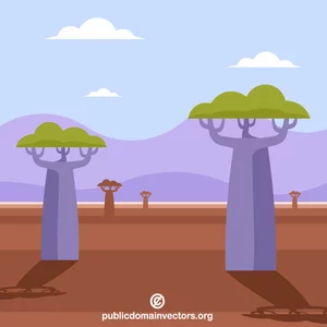 Baobab ağaçları