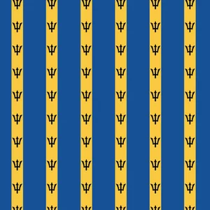 Barbados pattern