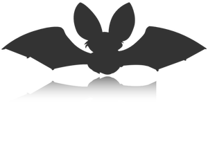 Silhouette vector image of black bat