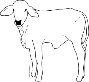 Immagine di vitello maschio linea arte vettoriale