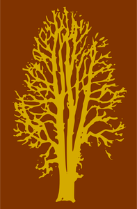 Imágenes Prediseñadas vectoriales de silueta de árbol de haya en amarillo