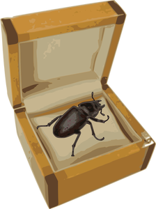 Gândacul într-o cutie de vector imagine