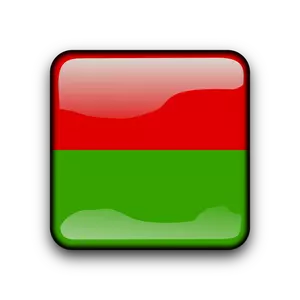 Burkina Fasos flagga knappen