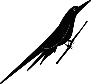 Silhouette vector image of cowbird