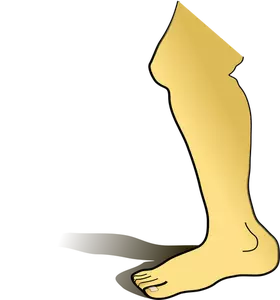 Imagini de vector picior uman