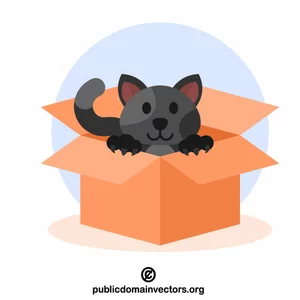 Gato preto em uma caixa
