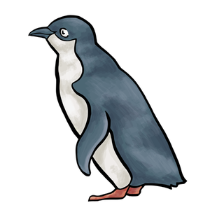 Disegno vettoriale di pinguino