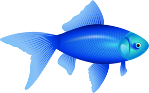 Wektor ilustracja niebieski złota rybka