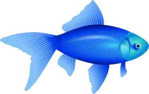 Vektor ilustrasi ikan mas biru
